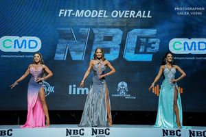 FIT-MODEL OVERALL